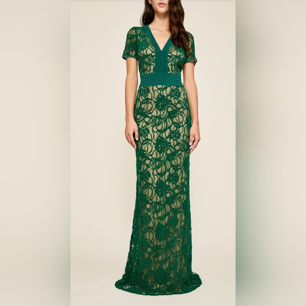Tadashi Cloelia Lace Gown BFZ18238L